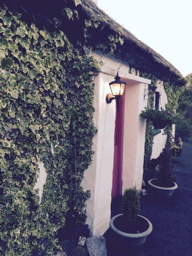 Teresas Cottage Donegal Town Extérieur photo
