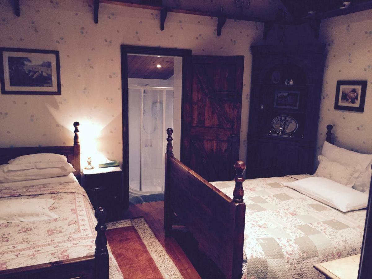 Teresas Cottage Donegal Town Extérieur photo